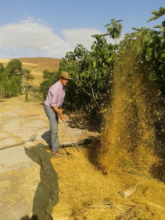 Masseria Xireni Castellana Sicula Eksteriør billede